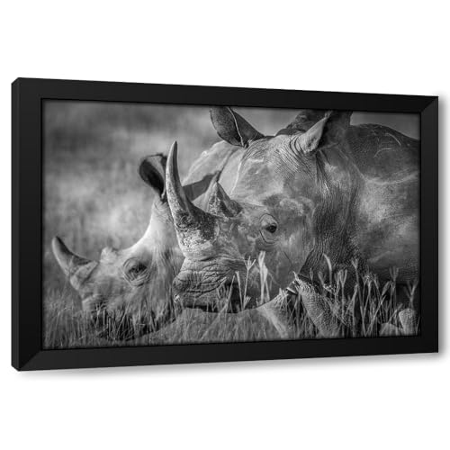 ArtDirect Qthe Manq Custom Framed Art Print Giclee Print or Canvas Options with Various Sizes and Customization by C. Sink, Jeffrey