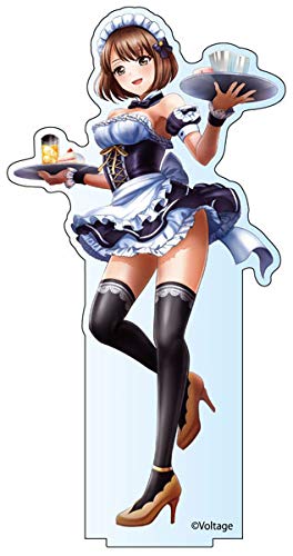 Amazon.co.jp: 六本木サディステックナイト デカアクリルスタンド 弓長