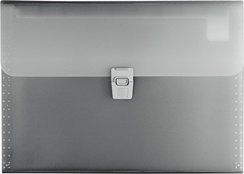 Brunnen Fächermappe Fact, transluzenter PP-Folie, 0.75 mm, A4, 10-teilig, grau