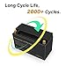 Talentcell 12V LiFePO4 Battery Pack LF120A1, Deep Cycle Rechargeable 153.6Wh 12.8V 12Ah Lithium Iron Phosphate Batteries for Trolling Motor, Camping, Solar Systems, Power Wheels