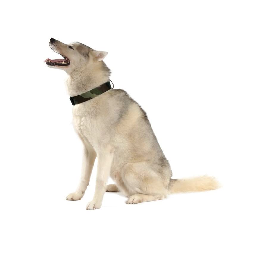 Bobby Camouflage - Durable, Comfortable, Adjustable, Machine Washable Nylon Dog Collar, Pink - S/25-40 x 1,6 CM - Image 3