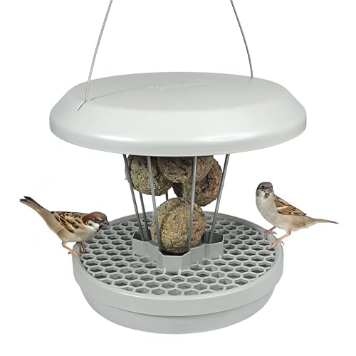Bird Feeders Hanging Station - Lucerne- Smart Bird Feeder - No Mess Bird Seed - Fat Balls for Wild Birds - Seed Tray - Gardening Gifts - Bird Watching Gifts - Bird Table - Robin Food option
