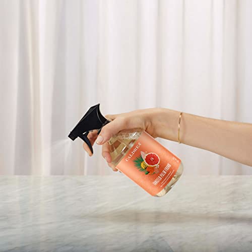 Caldrea Multi-Surface Countertop Spray Cleaner, Made With Vegetable Protein Extract, Tangelo Palm Frond Scent, 16 Oz #TOP3