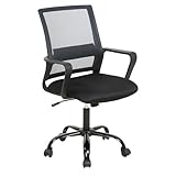 Ruesleag Home Office Chair...