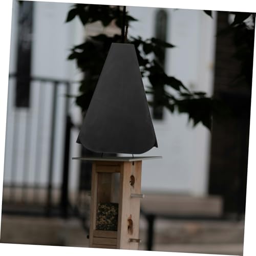 Cloisons anti-écureuils pour observer les oiseaux du jardin en toute sérénité