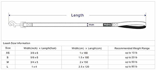 Blueberry Pet Spring Scent Inspired Floral Garden