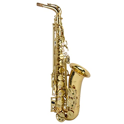 SHUNTIAN Alto EB Tune Saxophone bL S[h L[ TbNX }EXs[X AgTbNX