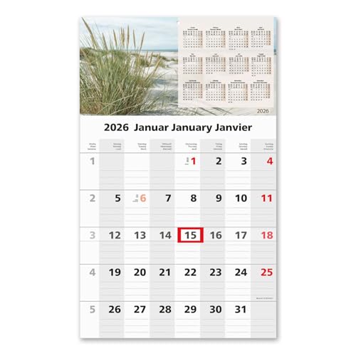 Timr 1 Monatskalender 2026 - Wandkalender 1 Monat mit Schieber - 49 cm Einmonatskalender zum eintragen I Kalender Motiv Dünen I tr324