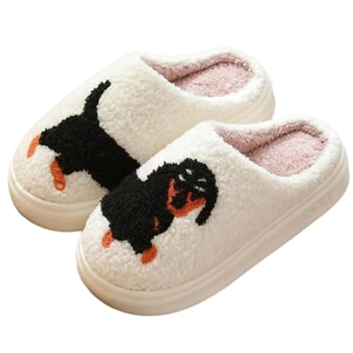 [UZCX] [V[Y T^N[X Xbpqp k ₦΍  H~tp p NX}X 22.5 cm giJC É {A t@[t fB[X Y fUC09