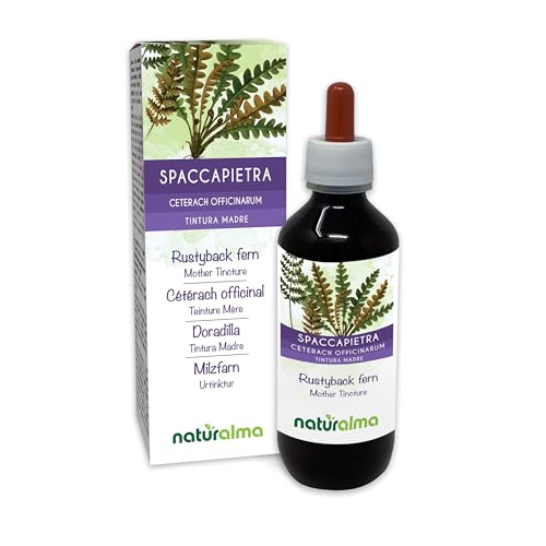 Doradilla (Ceterach officinarum o Asplenium ceterach) folhas pintura mãe sem álcool natureza - extrato líquido gotas 200 ml - complemento alimentar - Vegan