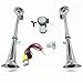 BBOPG 150Db Double Tube Air Horn, 45 cm Chrome Zinc Single Trompette Truck klaxon d'air avec compresseur pour Tous Les véhicules camions Trains Bateaux Voitures (Argent),12V
