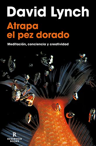 Atrapa el pez dorado: Meditación, conciencia y creatividad (Spanish Edition)