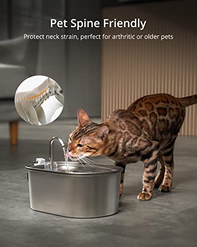 Image of Stainless Steel Cat Water Fountain, 3.2L, with 4 Filters & 5 Foam Pads