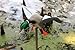 MOJO Outdoors Wind Duck - Premium Waterfowl and Duck Hunting Decoy