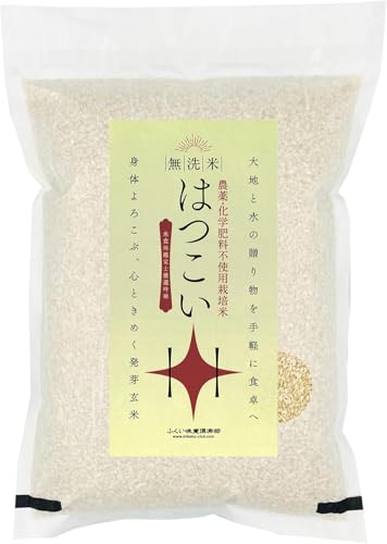 茺 _  3kg _Ew엿sgpRVqJgp ₳Hׂ₷茺āu͂v ӂÂE``H GABAEH@ہEr^~BQՂ ̌NEEe