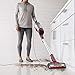 APEX UpLight Lift-Away DuoClean with Self-Cleaning Brushroll Vacuum, LZ600