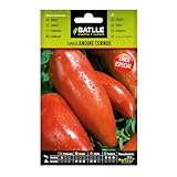 Tomate Andina Cornue