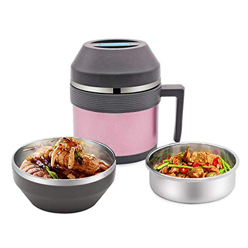 Insulated Lunch Container with Handle for Hot Food,2 Tier Thermal Insulated Lunch Thermos
