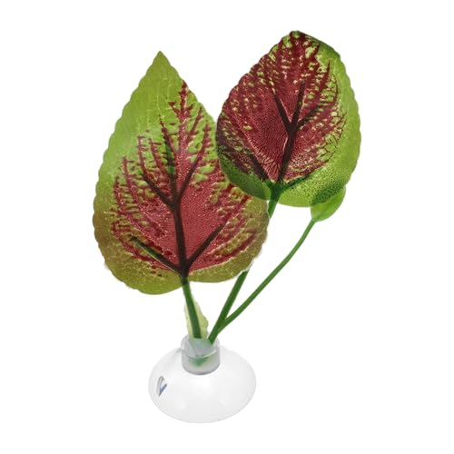 CAPASTEC Betta Fish Leaf, Natural Habitat Simulation for Betta Spawnings Grounds, Betta Spawnings Leaves, Resting Bed, Large Small Leaves, Deep Green Brown