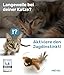 PetTec® Interaktives Katzenspielzeug Elektrisch [DAS ORIGINAL] Selbstbeschäftigung - Katzenspielzeug mini Spatz beweglich mit Katzenminze Interactive Cat Toy Automatische Katzen Spielsachen