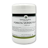 Terra di Cuma Le Origini della Salute