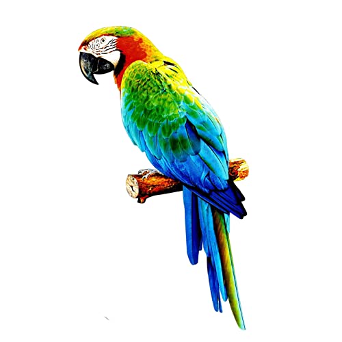 Eiserner Papagei Wandanhänger Wanddekoration Papagei Figur Realistisch Papageienfigur für Garten & Wohnzimmer Hübscher Vogel Wandaufhänger für Papageien-Liebhaber(Nicht-3D-Modell) Stil C