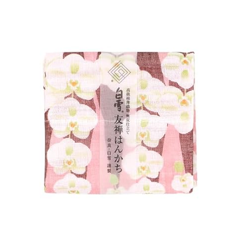 ӂ FT͂񂩂/fB[X LbY FT o[Vu 炩 ӂӂ GKg K[[ ᒠn { 100 30×30cm (Ӓ^sN)