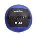 AmazonBasics Wall Ball, 20-Pound