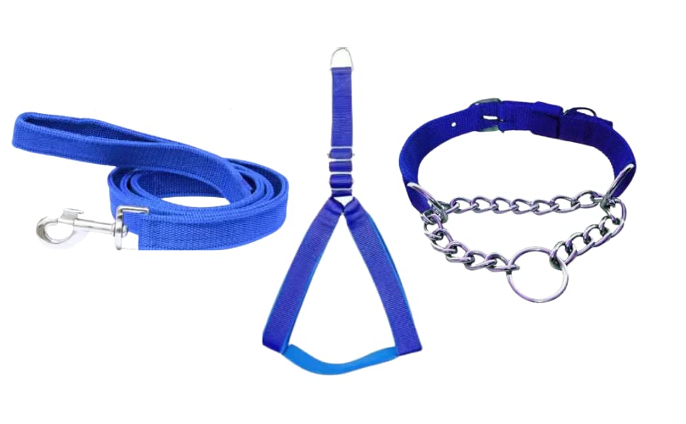 Hundur store Dog Combo Pack of Harness, Neck Choke Collar Belt and Leash Set in Blue for Large Size (B09ZQVYDVJ) Amazon Price History, Amazon Price Tracker