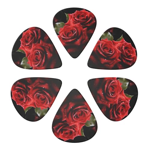 M^[sbN 6pbN Ԃovg M^[sbNz_[ AR[XeBbNM^[ oCI EN x[Xp