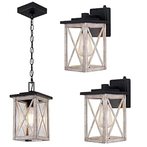 DANBEE Modern Outdoor Pendant Lights Fixtures & Dusk to Dawn Outdoor Wall Lights,1-Light Porch Lantern Lamp for Garden Patio,Entryway,Backyard