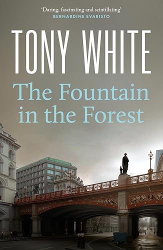 The Fountain in the Forest: A Dark Investigation of Power, Identity and Resistance (English Edition)