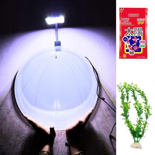 KSH Store - Wall Hanging Fish Tank Acrylic (Not Glass) 15 Inches,Plant 8 INCh,Fish Food,360 Degree Pent Clip Light 6.4W,with White Colour (15) (B0CFC2DWGQ) Amazon Price History, Amazon Price Tracker