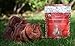 PURE REISHI >35% β-glucans, 100% Mushrooms Fruiting bodies Extract for Dogs & Cats Immune & Digestive system health, Anti-inflammatory, Antioxidative for Canine & Feline Longevity & health