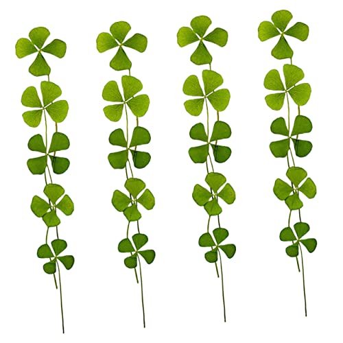 Cabilock 24pcs natural trébol prensado para manualidades