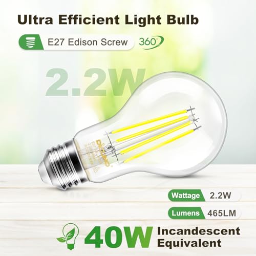 DiCUNO Edison Light E27 Edison Screw Bulb 2.2W (40W Equivalent), Clear Filament Bulb A60, Energy Efficient A Class LED, 4000K, 465LM, Non-dimmable, 2 Pcs - Image 2