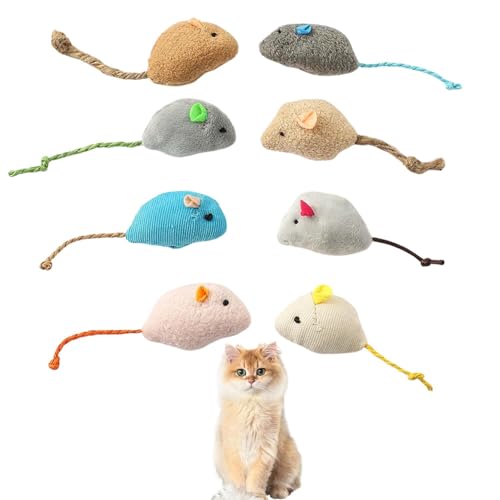 Lifetips ueBbVOwA British Longhair Lp lY~ʂ 8Zbg qL L V XgXU ^s ӂӂf L炵  ybgObY