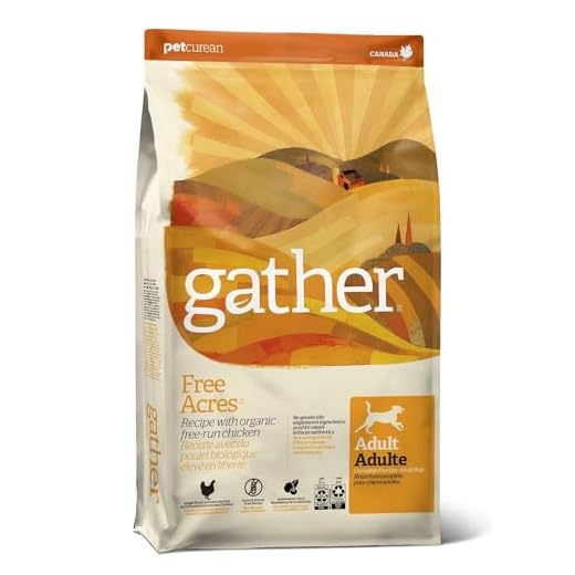 GATHER Free Acres Free-Run Chicken Grain-Free & Gluten-Free Dry Dog Food, Healthy Kibble Made with USDA Certified Organic & Non-GMO Ingredients, for Adults & Seniors, 6 lb Bag