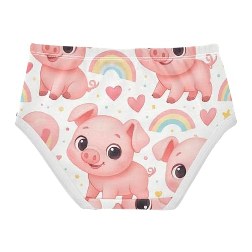 Cotton Toddler Underwear Floral Cute Cartoon Pink Rainbow Panties for Girl Funny Underpants Briefs 2t2