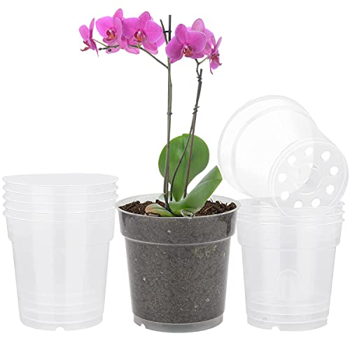 TSKDKIT 10 pièces Pot Fleurs Transparents Plastique Pot de Fleur Petits Pots à Orchidée Plastique Pot pour orchidée, Jardin, Balcon, etc