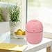 Imagen de ZASCHMOY Mini Humidificador Portátil, Silencioso