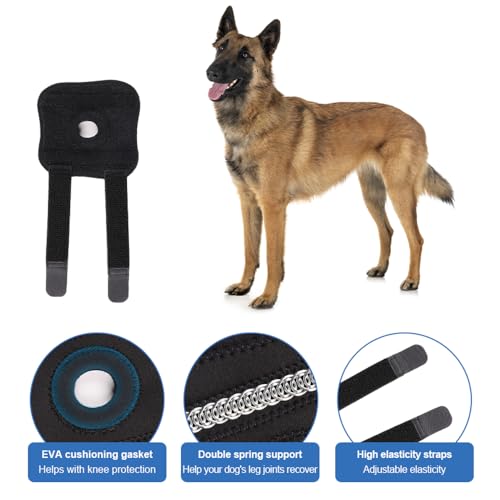 Image of Dog Elbow Protector (2)