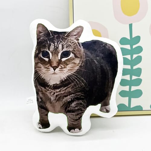 Coussin de chat en peluche douce oreiller décoratif de chambre