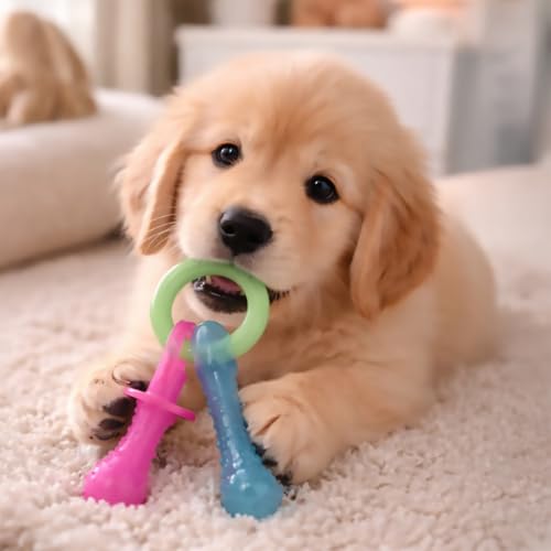 Image of Nylabone Puppy Pacifier Chew Toy, Teething Toys for Puppies up to 25 lbs