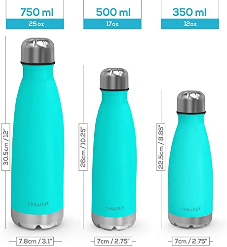 Image of CHILLOUT LIFE 17oz Insulated Stainless Steel Water Bottle, Leak Proof