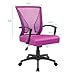 Furmax Office Chair Ergonomic Computer Desk Mesh Chair Mid Back Swivel Lumbar Support with Armrest (1, Pink)
