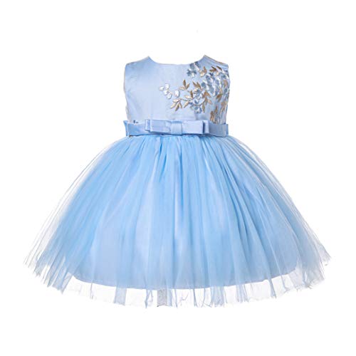 Robe de soirée fleurie brodée bébé fille Cinda pour cortège et grandes occasions