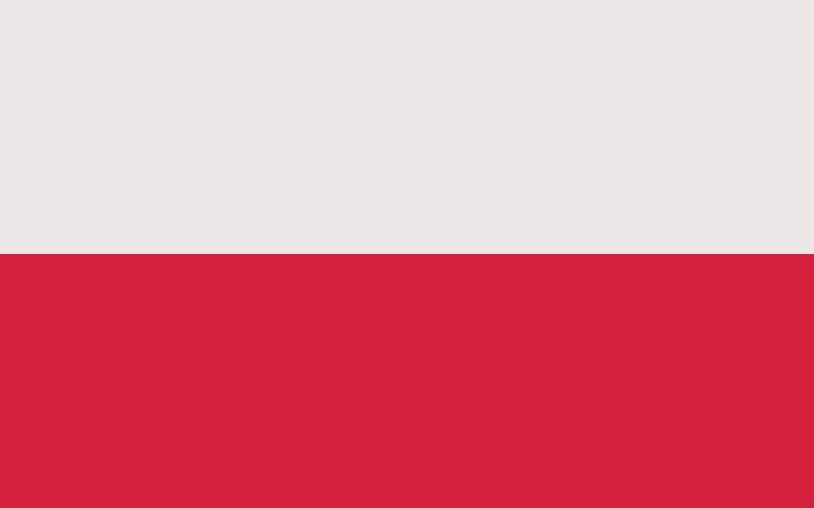 Drapeau Pologne XL pavillon grand format tissu réglementaire polonais