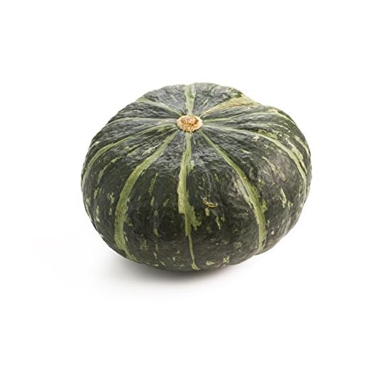 Organic Kabocha Squash from Farmers Market