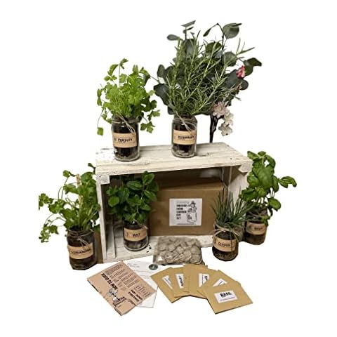 Indoor Herb Garden Kit with Jars Cover